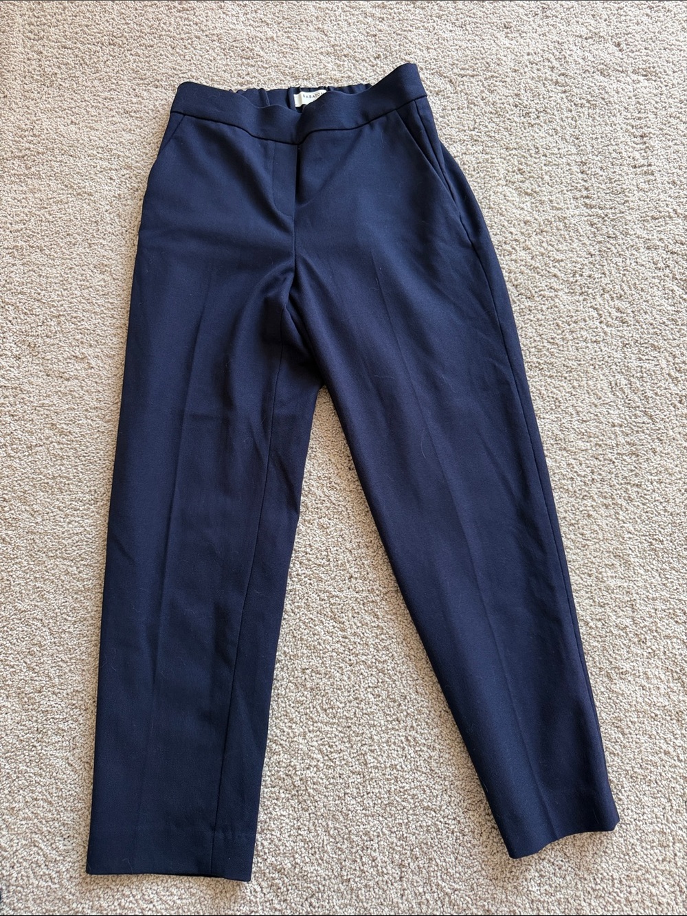 Aritzia Babaton Dress Pants